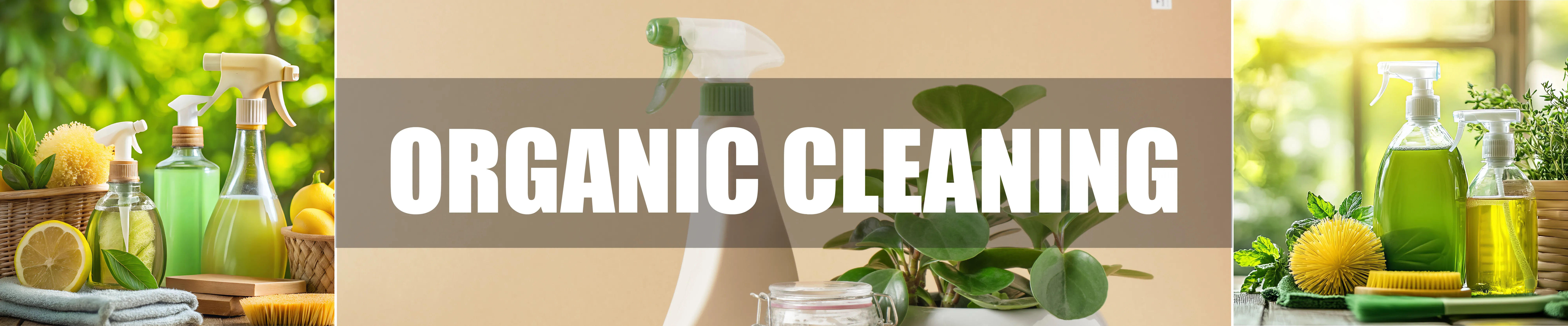 carpet cleaning in brooklyn, carpet cleaning in brooklyn, carpet cleaning brooklyn, carpet cleaners in brooklyn, carpet cleaners in brooklyn, commercial carpet cleaning, commercial carpet cleaning in brooklyn, brooklyn rug cleaners, rug cleaning services in brooklyn, same day carpet cleaning, same day rug cleaning